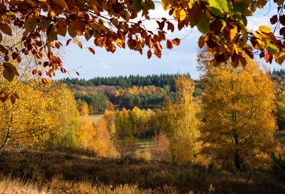 Gezicht op badkamer met herfst geurkaarsen. Gezicht op badkamer met herfst geurkaarsen.