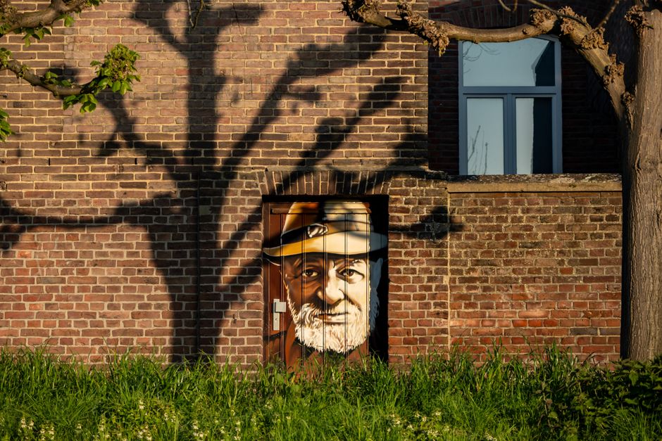 Kikker schilderij met natte bladeren en regenplas. Kikker schilderij met natte bladeren en regenplas.
